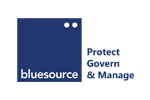 BlueSource Logo Image